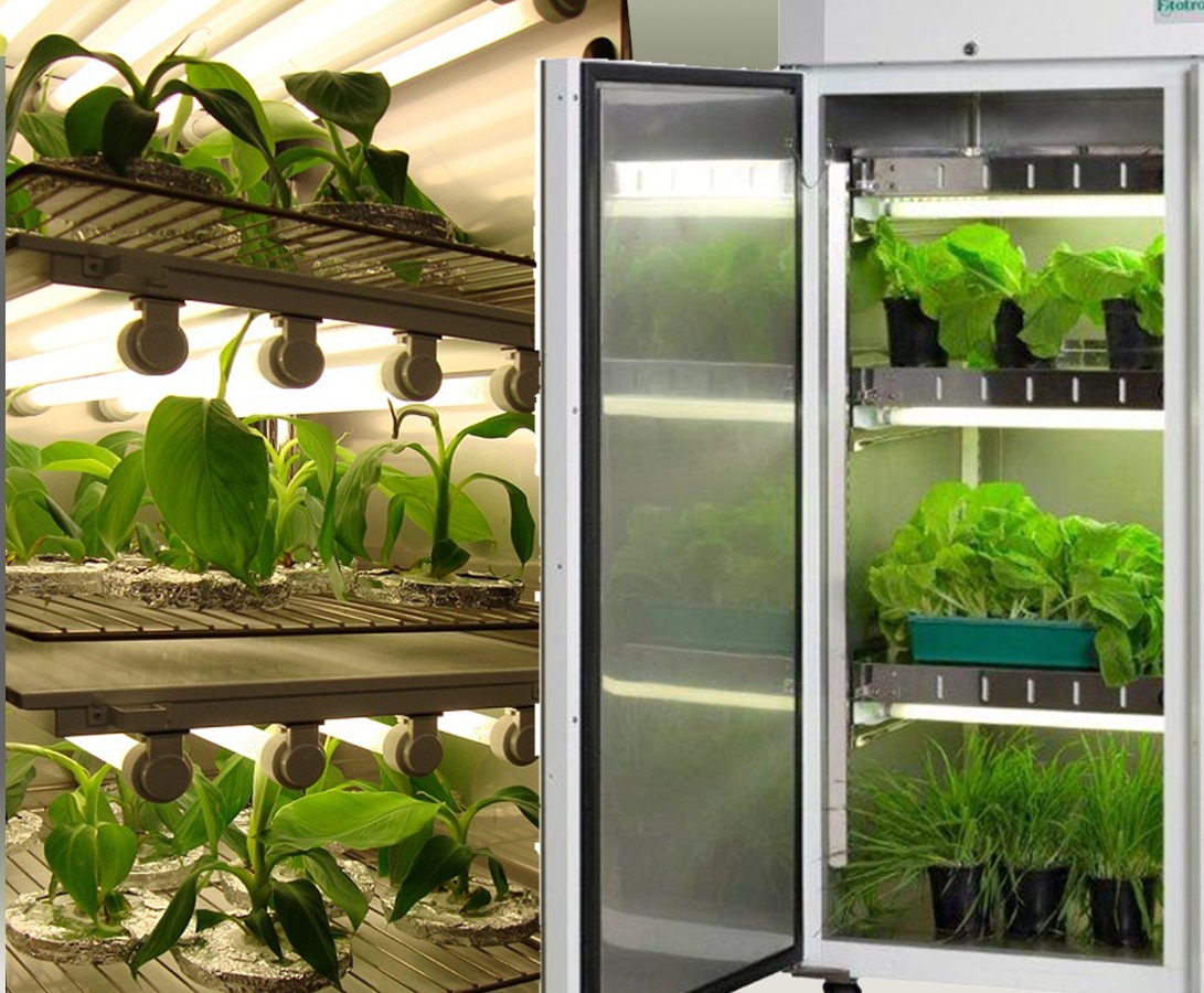 Plant Growth Chamber AIB Lifescience